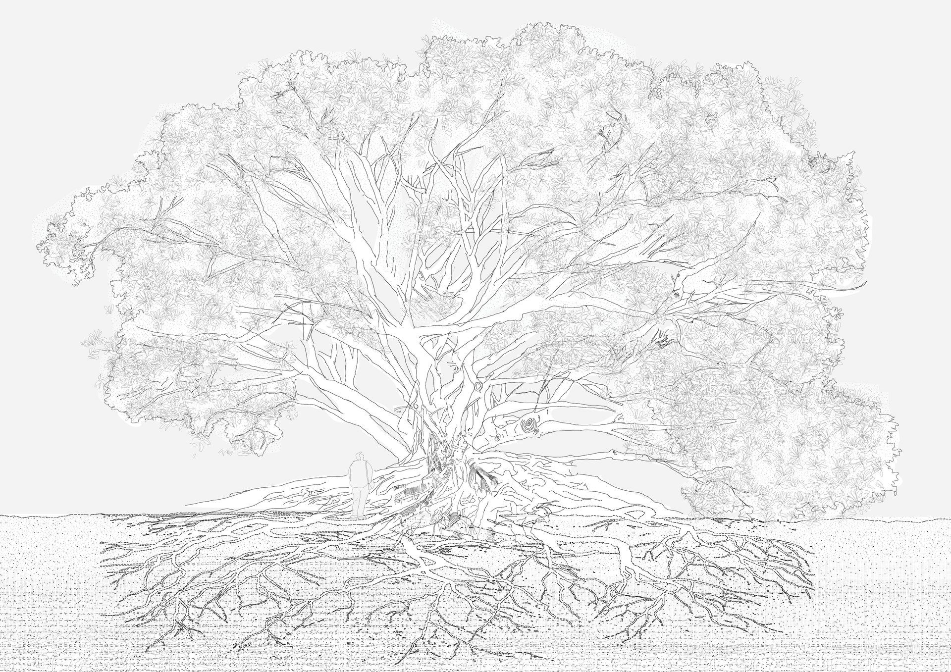 Animated spatial illustration